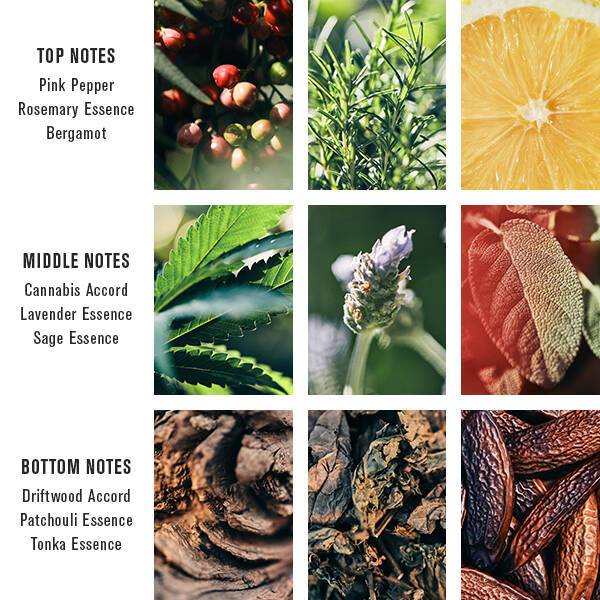 PACIFIC CANNABIS - Image 3