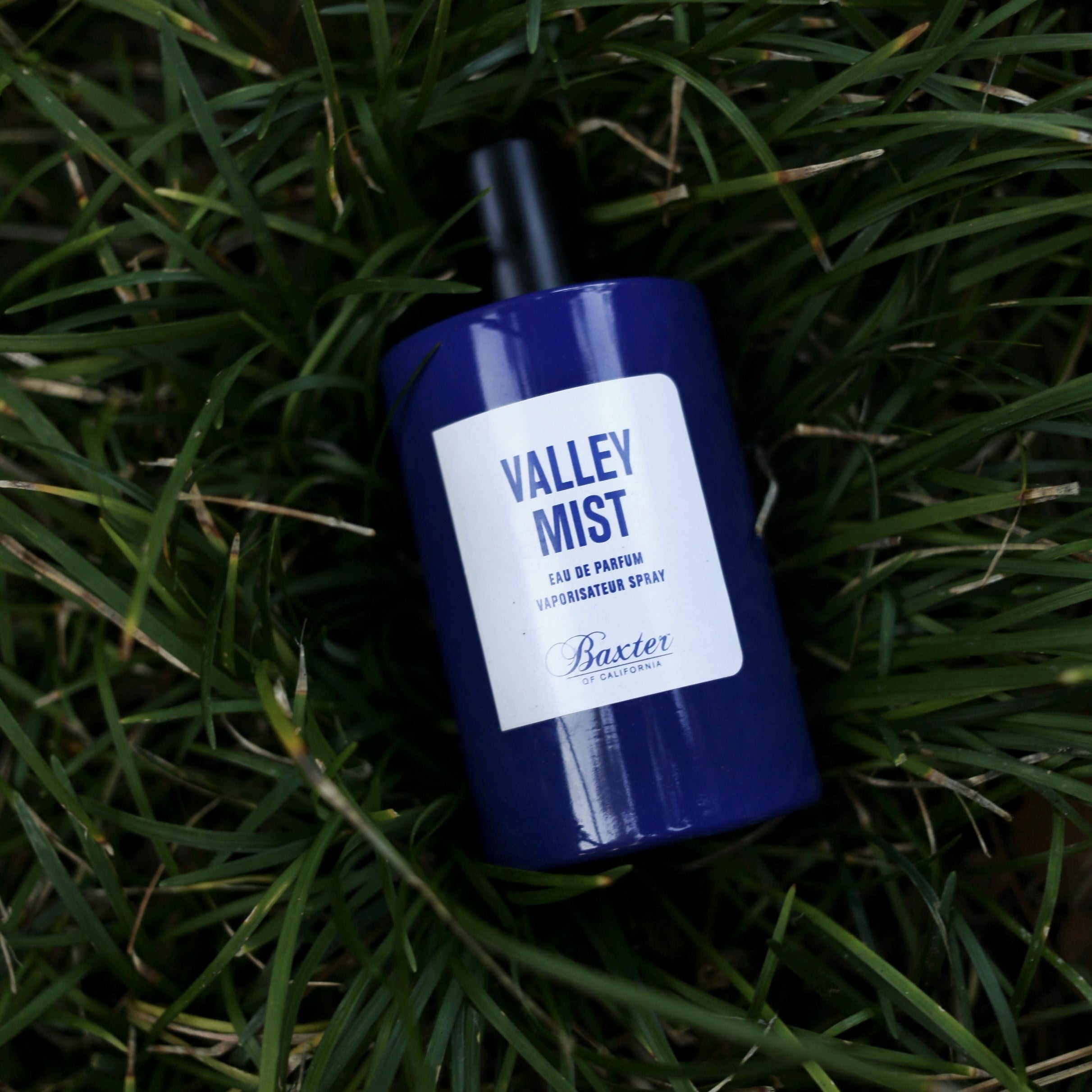 VALLEY MIST - Image 2